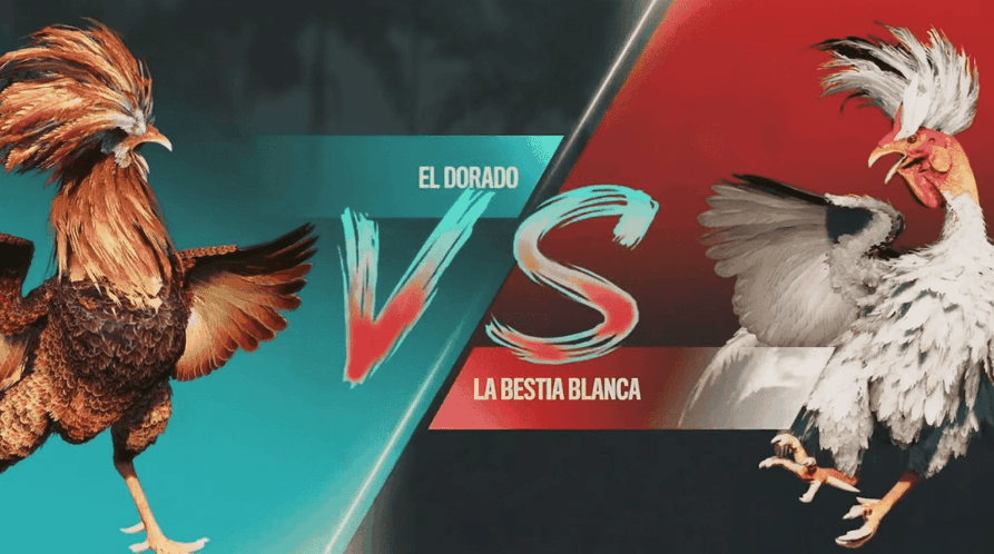 byb777 Cassino Oficial de Slots